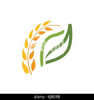 wheat spike with a leaf illustration, elegant wheat with an outline of leaf, natural symbol, symbol design, isolated on white background Stock Vector