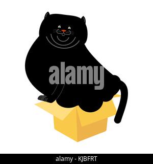 Fat Cat in small box isolated. Home pet in cardboard box. Vector illustration Stock Vector