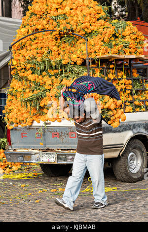 A Mexican flower market vendor carries a bunch of marigold flowers