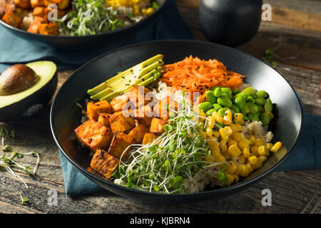 Healthy Organic Tofu and Rice Buddha Bowl with Veggies Stock Photo