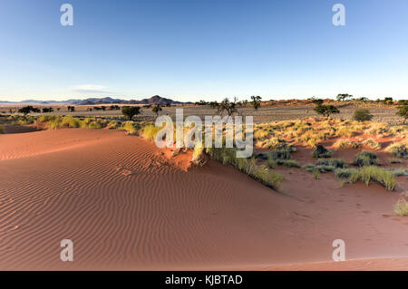 Desert landscape in the NamibRand Nature Reserve in Namibia. Stock Photo