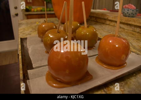 Freshly made caramel apples made with melted caramel sitting in front of a carved pumpkin on Halloween. Stock Photo