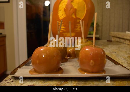 Freshly made caramel apples made with melted caramel sitting in front of a carved pumpkin on Halloween. Stock Photo