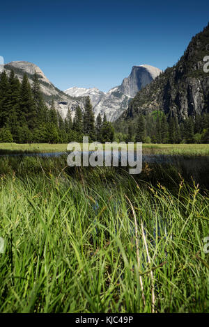 Half Dome mountain in Yosemite National Park in California, USA Stock Photo