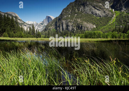 Half Dome mountain in Yosemite National Park in California, USA Stock Photo