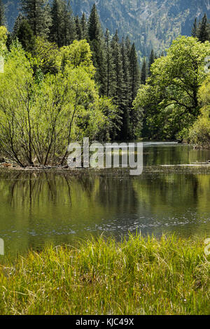 Sunny day along the Merced River in Yosemite National Park in California, USA Stock Photo