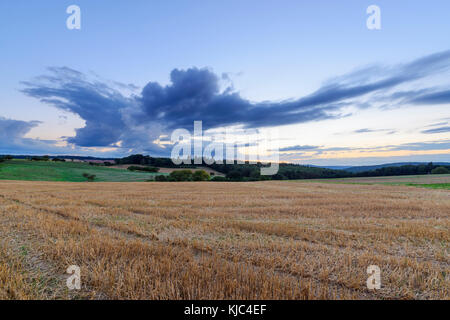 Harvested cereal field at dusk in summer at Roellbach in the Spessart hills in Bavaria, Germany Stock Photo