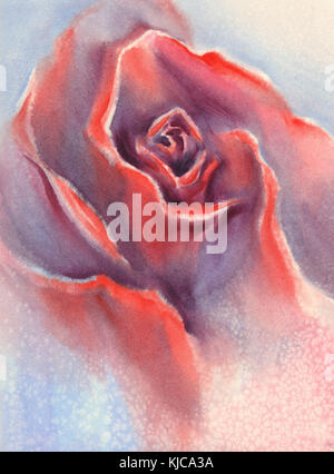 red velvet rose watercolor Stock Photo