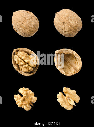 Walnuts, whole and opened, on black background. Top views of nuts and kernel halves. Seeds of the common walnut tree Juglans regia. Photo. Stock Photo