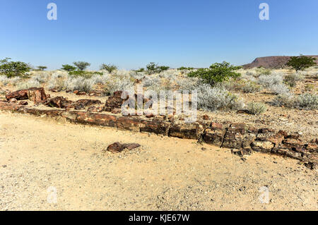 280 million years old Petrified forest, outside of Khorixas, Namibia. Stock Photo