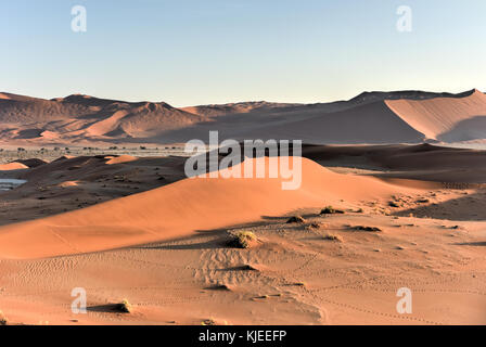 Hidden Vlei in the southern part of the Namib Desert, in the Namib-Naukluft National Park of Namibia. Stock Photo