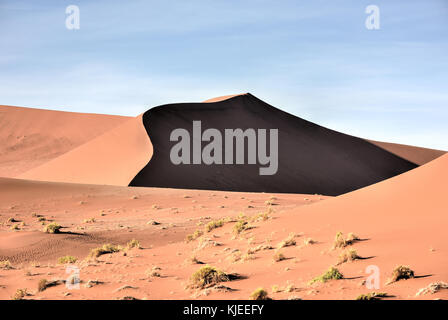 Hidden Vlei in the southern part of the Namib Desert, in the Namib-Naukluft National Park of Namibia. Stock Photo