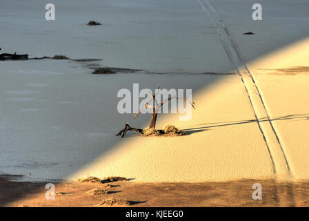 Hidden Vlei in the southern part of the Namib Desert, in the Namib-Naukluft National Park of Namibia. Stock Photo