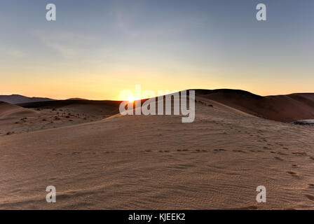 Hidden Vlei in the southern part of the Namib Desert, in the Namib-Naukluft National Park of Namibia. Stock Photo