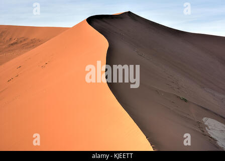 Hidden Vlei in the southern part of the Namib Desert, in the Namib-Naukluft National Park of Namibia. Stock Photo