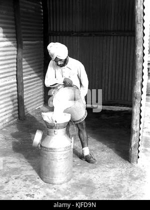 Delhi Milk Supply Scheme Milk pouring into cans 1951 Stock Photo
