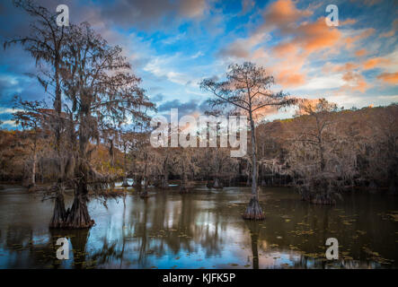 Caddo Lake is a lake and wetland located on the border between Texas and Louisiana. Stock Photo