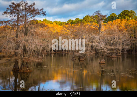 Caddo Lake is a lake and wetland located on the border between Texas and Louisiana. Stock Photo