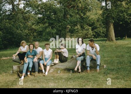 A photograph of a group of young men and women, they are sitting on a log in in a grass clearing surround by trees, they are drinking beer and smoking cigarettes on their outing together, 1952. Stock Photo
