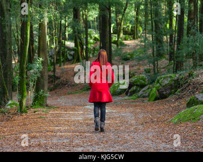 Young woman walking away alone on forest path wearing red long coat or overcoat. Girl back view of walk in woods of nature park during fall or autumn Stock Photo