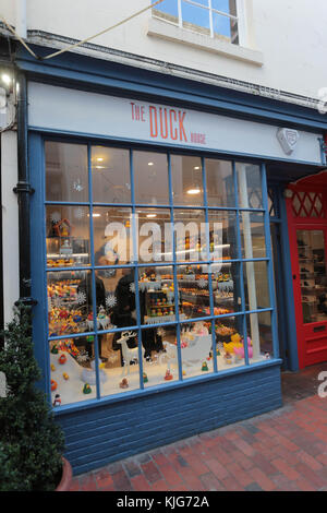 The Duck House in Meeting House Lane Brighton which only sells over 300 hundred types of different rubber ducks. Stock Photo