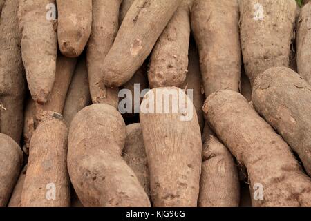 Close up on sweet potatoes on a market stall in London filling the frame Stock Photo