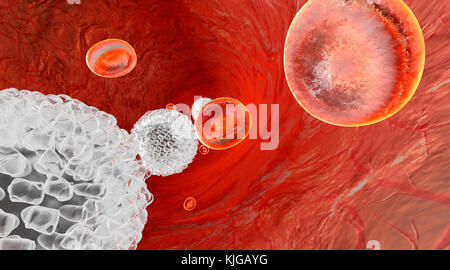 3D rendered Illustration of Erythrocytes and Leukocytes flowing in a Vein or Artery Stock Photo