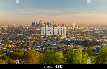 Green trees dominate the foreground with the city skyline of Los Angeles in the background Stock Photo