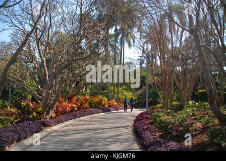 Avenue in between colorful flowers in Roma Street Parkland, Brisbane Stock Photo