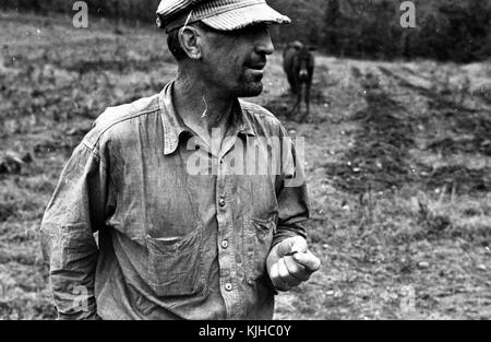 Black and white photograph of a depression era farmer, a man, standing in the foreground, a field and donkey in the background, Ozark, Arkansas, 1935. From the New York Public Library. Stock Photo