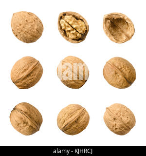 Walnuts, whole and opened, isolated on white background. Top views of the nuts and seeds of the common walnut tree Juglans regia. Macro photo. Stock Photo