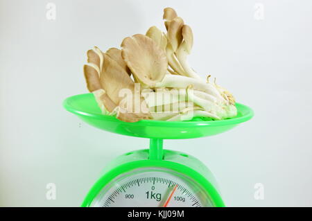 Indian mushroom on green weighing scale tray in white background Stock Photo