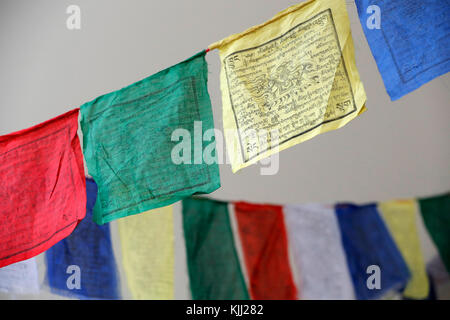 Drapeau Tibétain - Drapeau Du Thibet Gratuit Image stock - Image