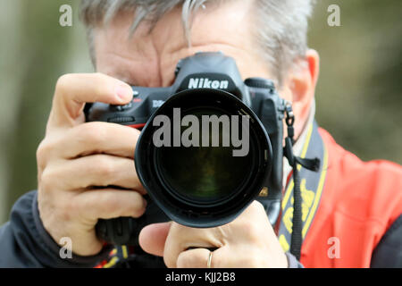 Photographer using a digital camera.  France. Stock Photo