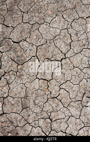Dry cracked ground.  Cracked, dry earth.  Masai Mara game reserve. Kenya. Stock Photo