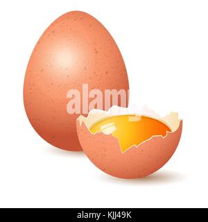 A whole chicken egg and a half egg with yolk inside. Preparation of breakfast. Isolated on white background Stock Vector