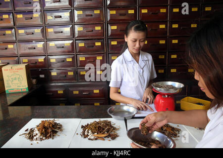 Traditional Chinese medicine pharmacy.  Herbal medicine therapy.  Vietnam. Stock Photo