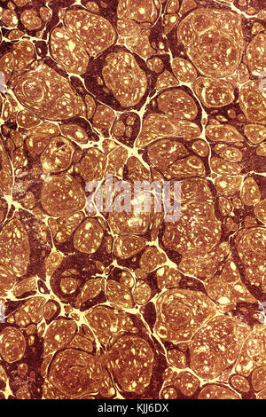 Light and dark stained red abstract pattern like bubbles from an aged retro paperback as a grunge background image Stock Photo