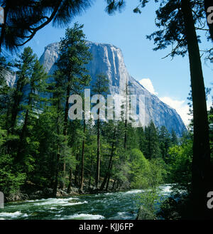 El Capitan mountain face and the woodland in Yosemite National Park,  California USA Stock Photo