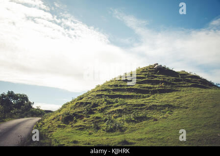 Goats graze on top of a hill near the Fairy Glens in the Isle of Skye in Scotland Stock Photo