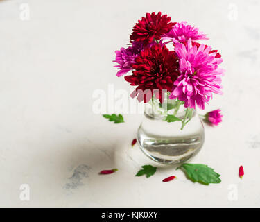 Autumn background on white stone from chrysanthemum. Autumn flower. Lots of space for text Stock Photo