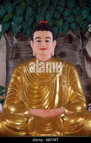 Chua Thiep Long buddhist pagoda. Sitting Buddha statue.  The meditation pose. Thay Ninh. Vietnam. Stock Photo