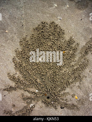 A pattern created by the sand bubbler crab as it makes its nest; picture taken in Koh Lanta, Thailand. Stock Photo