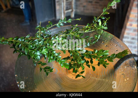 Palm sunday celebration in a Paris catholic church. Boxwood. France. Stock Photo