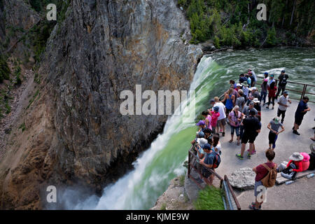 WY02646-00...WYOMING - Visitors viewing Yellowstone River from the Brink of Upper Falls viewpoint in the Canyon area of Yellowstone National Park. Stock Photo
