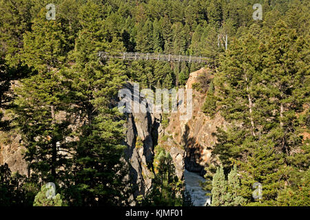 WY02668-00...WYOMING - Bridge over the Yellowstone River on the Hellroaring Creek Trail in Yellowstone National Park. Stock Photo