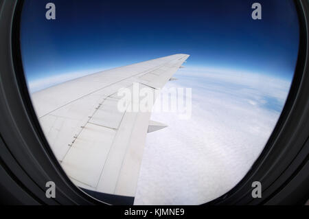 trailing-edge-of-the-wing-of-a