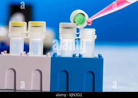 Identification of pathogenic microbes and viruses Stock Photo