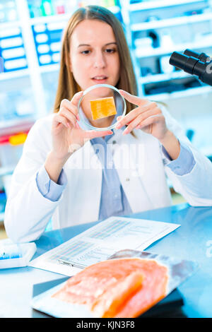 Fish research in laboratory. Food Processing and Quality Control Fish ...