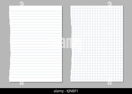 vector set of ripped sheets of lined and square paper from a workbook Stock Vector